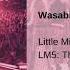 Little Mix Wasabi LM5 The Tour Film