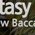 New Baccara Fantasy Boy Karaoke Version