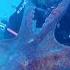 Massive Octopus Attacks Diver Drags Equipment Through Sea