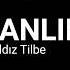 Yıldız Tilbe Delikanlım Lyrics Video