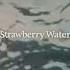 Bryce Vine Strawberry Water Official Lyrics Video