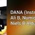 DANA Ali B Numidia Cheb Rayan Instrumental NIELS B ALDUM INSTRUMENTAL