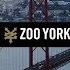 Zoo York Europe In Portugal And Barcelona