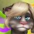 My Talking Tom Timber