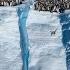 Baby Penguins Seen Cliff Diving On Camera For 1st Time