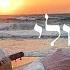 וישמע קולי He Shall Hear My Voice Hebrew Worship