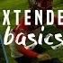 Extended Basics How We Do It Royal Deluxe