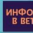 Инфоцыганство в ветеринарии