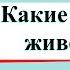 Какие бывают животные Окружающий мир 2 класс 1 часть Учебник А Плешаков стр 60 63