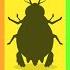 Guess Which Bugs Are Stinky Insect For Kids Nursery Rhymes Kids Song Cheetahboo