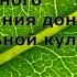 Ермек Сагалбеков Инновационные научно производственные проекты по культуре донника