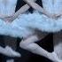 Swan Lake Dance Of The Cygnets The Royal Ballet