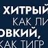 Аудиокнига Анны Марчук Хитрый как лис ловкий как тигр 36 китайских стратагем которые научат вы