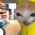 Banana Cat 360 Supermarket VR 360 Experience