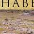 The Altar The Curse The Alphabet Mount Ebal Ep 1