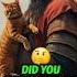 How Genghis Khan Used Cats To Burn Down A City Genghiskhanhistory History Genghiskhan Facts