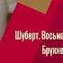 Шуберт Брукнер Лео Кремер Трансляция концерта