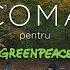 COMA Feat Sunetele Padurilor Cel Mai Frumos Loc De Pe Pamant Acustic For Greenpeace 2017