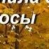 Рок Острова Захаров Владимир Распустила осень косы