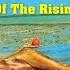 HOT R S 1977 House Of The Rising Sun History Discography