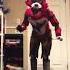 Foxy Cosplay Suit Up Fnafcosplay Fnaf Fnaffoxy Foxycosplay