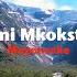 Dumi Mkokstad Mayenzeke Official Lyric Video