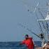 MONSTER Black Marlin Fishing In Panama