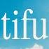 Pat Barrett Beautiful Life Official Lyric Video