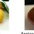 Apricot Vs Dried Apricot Which Is Better Health Benefits Composition Calories