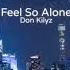 Feel So Alone Don Kilyz Official Visualizer