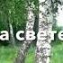 Нет края на свете красивей Россия Россия Россия