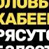 ХАРЛАМОВ С ТНТ УСТРОИЛ ПЕРЕПОЛОХ В ОСТАНКИНО СКАБЕЕВОЙ И СОЛОВЬЕВУ ВЫЗЫВАЮТ СКОРУЮ