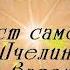 Полынь трава Гармонист самоучка Ольга Пчелинцева ее дочь Валентина и подруги Виктория и Лариса