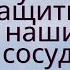 Каштан лучший защитник кровеносной системы