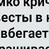 В Брачную Ночь Невеста Громко Кричит Сборник Свежих Анекдотов Юмор