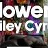 Miley Cyrus Flowers Album Digs Visualizer