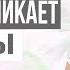 Зуд во влагалище Зуд половых органов Почему возникает причины Гинеколог Екатерина Волкова