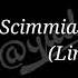 ScimmiaSka With You Lirik Video