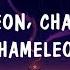 Sandra N Monoir Chameleon Lyrics