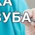 Зубной протез бабочка Что такое протез бабочка Когда используется такое протезирование