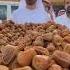 Date S Of Madinah Madinah Dates Market Shorts