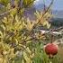 The Sweetest Place And Southern Gate Of Armenia Meghri Church Restored By US Embassy Part 1