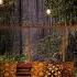 Rainy Night Forest At Cozy Coffee Shop Smooth Jazz With Rain Sounds For Relax Study And Sleep