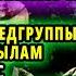 НЕМЦЫ НЕ МОГЛИ ПОНЯТЬ КАК НАШ РАЗВЕДЧИК КРАДЕТ ИХ ОФИЦЕРОВ СУМАШЕДШИЙ РЕЙД НАШЕГО РАЗВЕДЧИКА