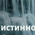 О важности и истинной цели пропитывания Валерий Гусаревич