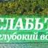 МУЗЫКА СЧАСТЬЯ АКТИВИЗИРУЕТ ГАРМОНЫ СЧАСТЬЯ эзотерика эзотерикасчастье