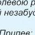 Слова песни Татьяна Чубарова Незабудка