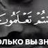 Неужели вы не помяните назидание Сура Аль Муминун 84 91 аяты Ясир Ад Даусари Коран Карим