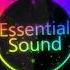 Baracuda Ass Up Essential Sound Bootleg