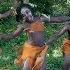 Masaka Kids Africana Dancing African Dance